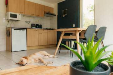 Vakantiepark voor 8 Personen in Sallandse Heuvelrug, Regio Zwolle, Afbeelding 2