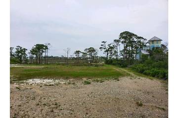 Camping for 8 Guests in Emerald Coast, Gulf County, Picture 1