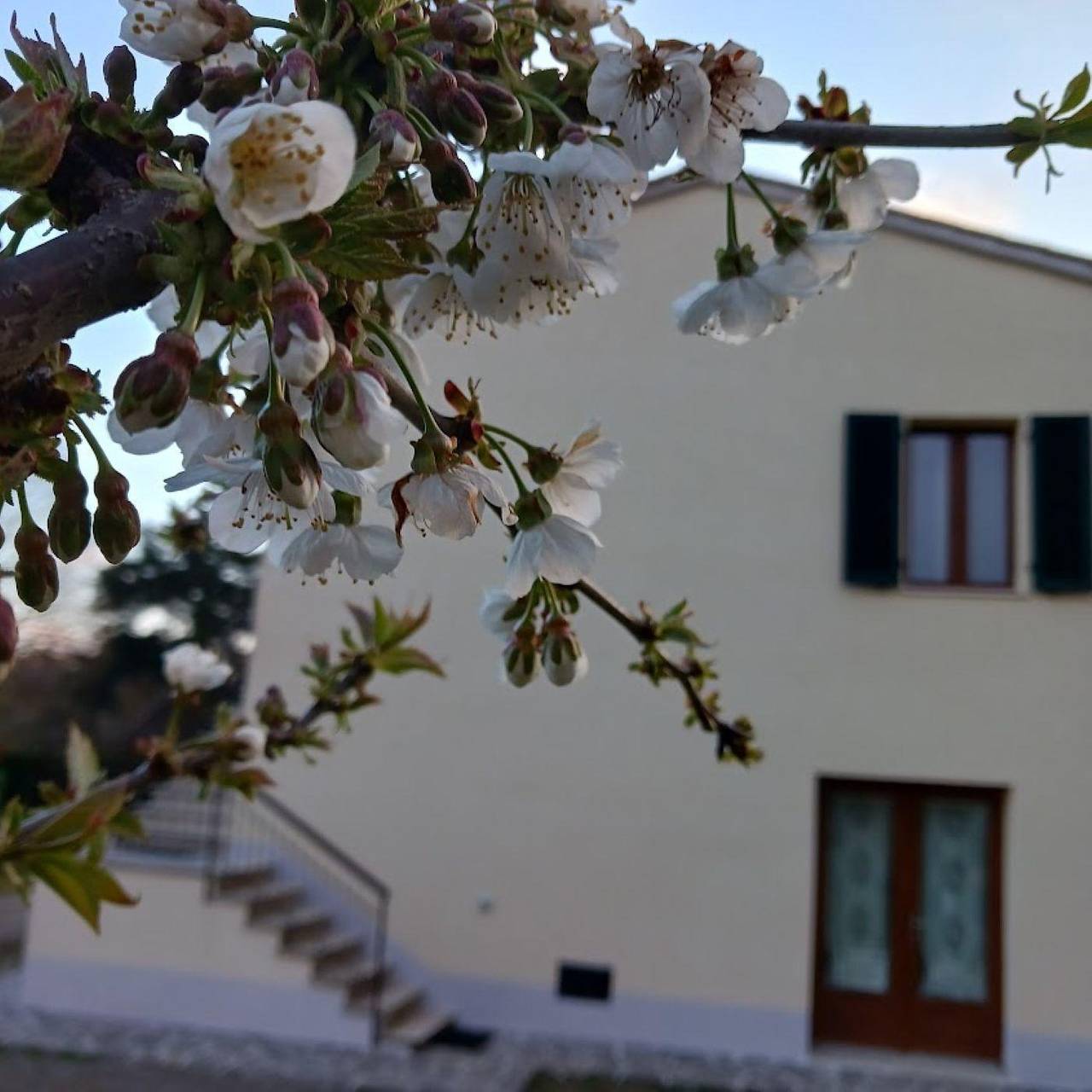 Nature, comfort and relaxation in Monticiano, Provincie Siena