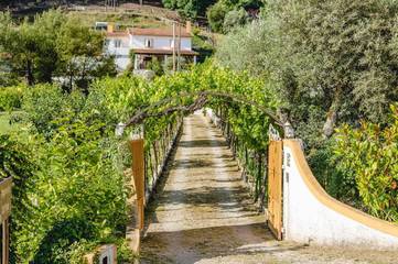 Cottage pour 3 personnes, avec vue et jardin, animaux acceptés à Lousã