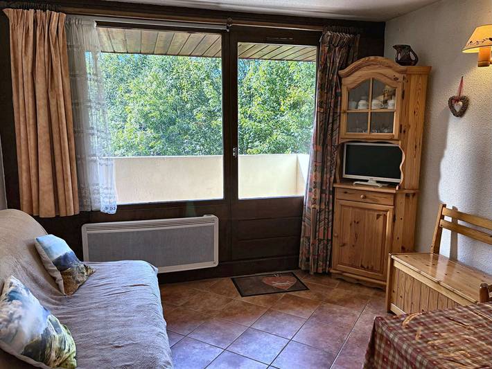 Ganzes Studio, Studio zentral, 4 Pers., 850m zu Liften, Shops, Kino, Balkon, Skiraum, Tiere erlaubt in Les Carroz, Arâches-la-Frasse