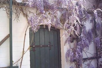 Ferienwohnung für 3 Personen, mit Garten in Penzlin