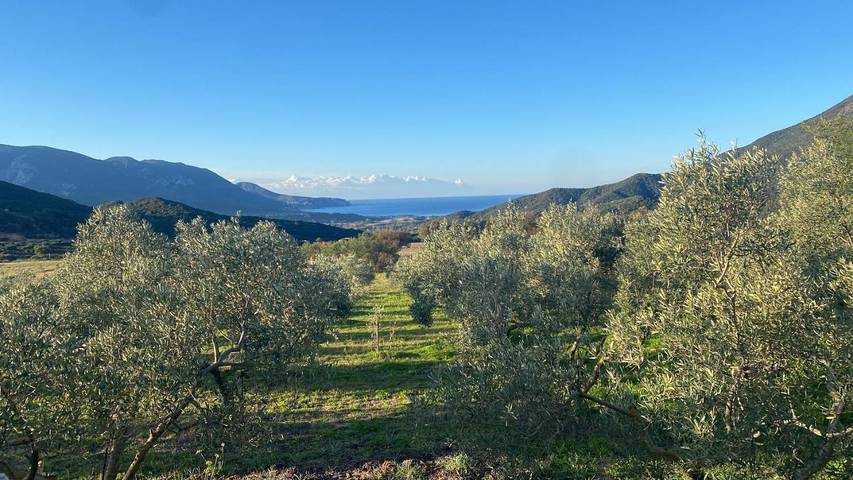Location de vacances pour 3 personnes, avec jardin et vue à Fluminimaggiore - 2