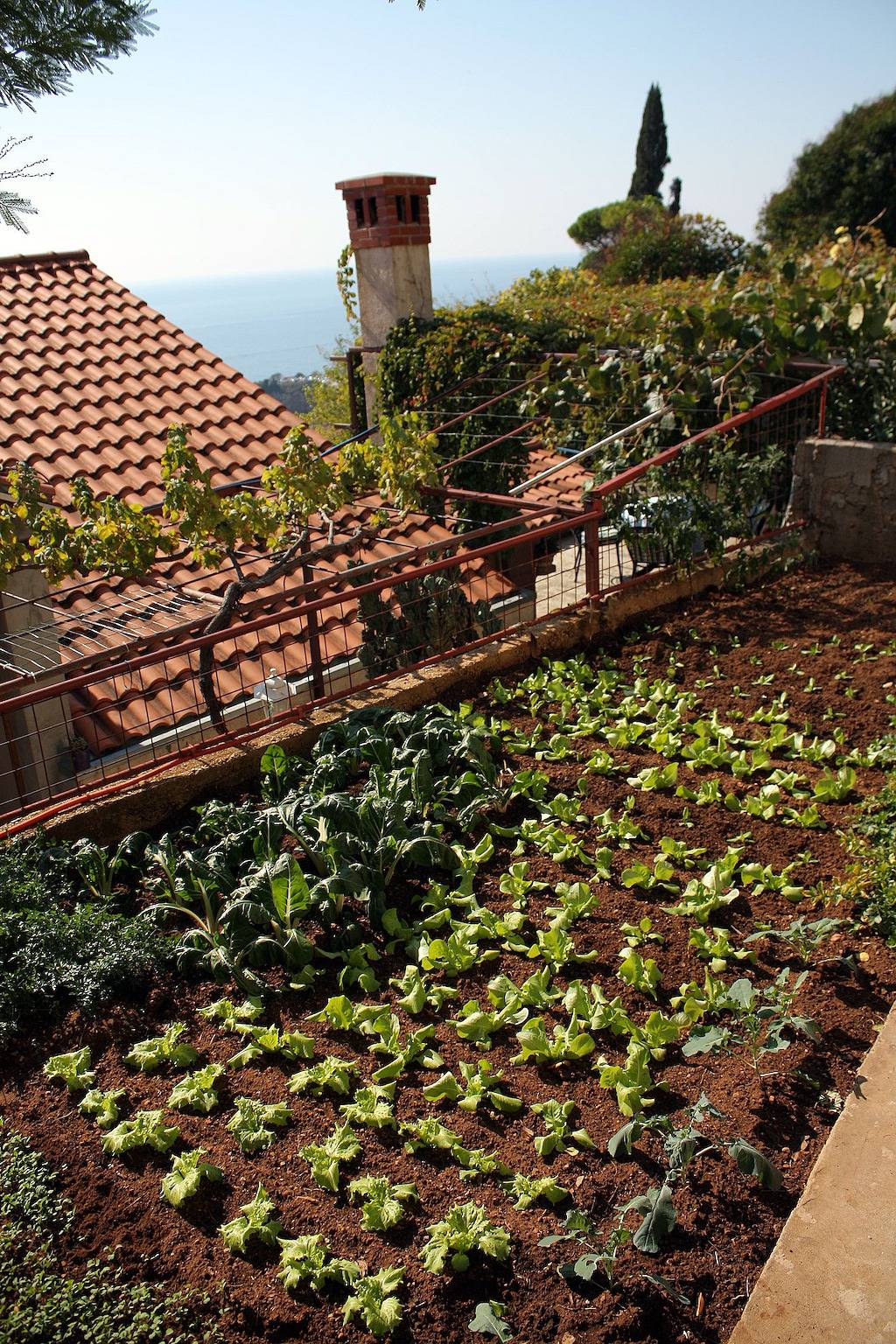 Ganze Wohnung, 2-Zimmer-Ferienwohnung mit Terrasse und Meerblick Dubrovnik A-4673-a in Dubrovnik, Grad Dubrovnik