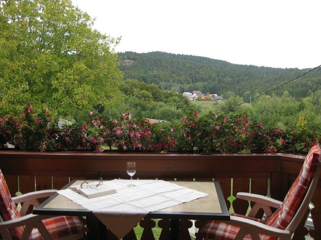 Ganze Ferienwohnung, Fewo mit Balkon und herrlicher Fernsicht in Dachsberg, Südschwarzwald