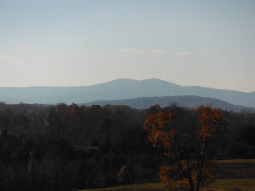 Haustierfreundliche Miethütte im Herzen des Weinlandes in Surry County