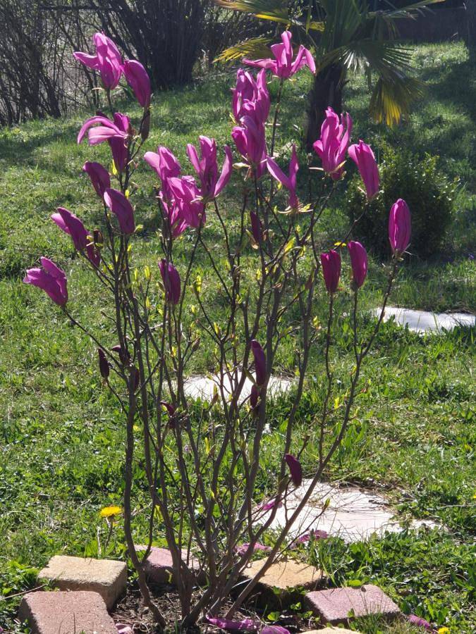 Gîte pour 4 personnes, avec jardin et vue à Les Martres-de-Veyre - 2