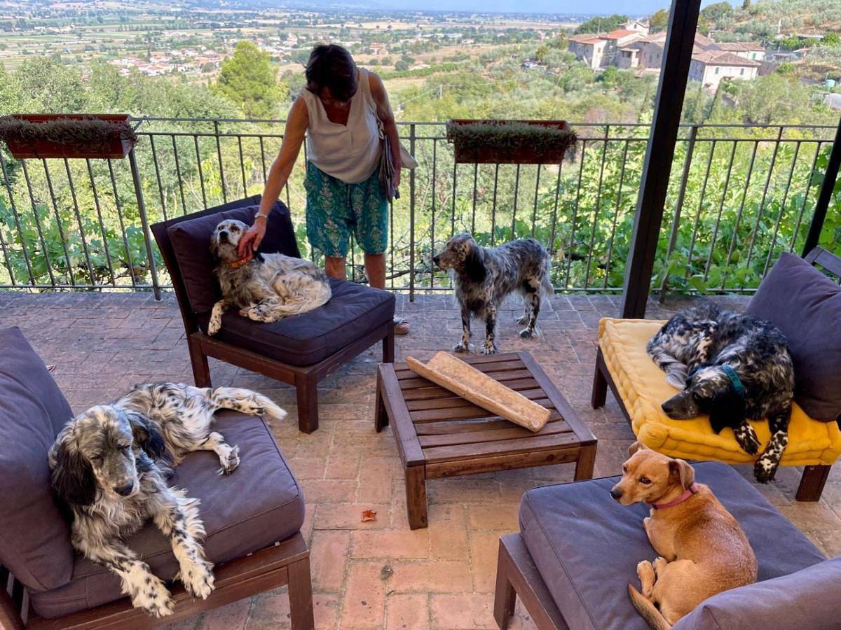 Setterhouseagrihotel in Trevi, Perugia e dintorni