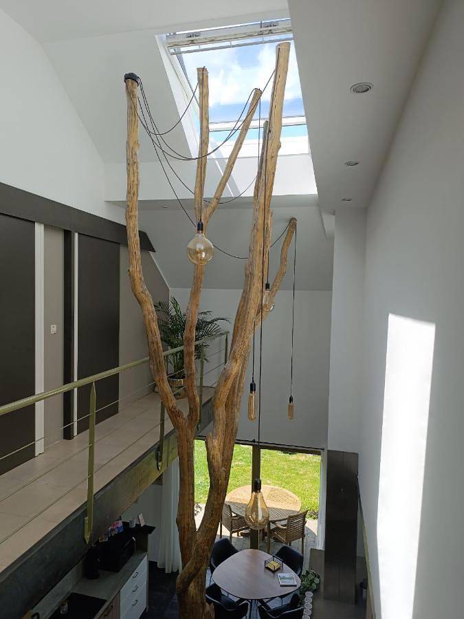 Chambre d’hôte pour 3 personnes, avec jardin, animaux acceptés à Bièvre - 4