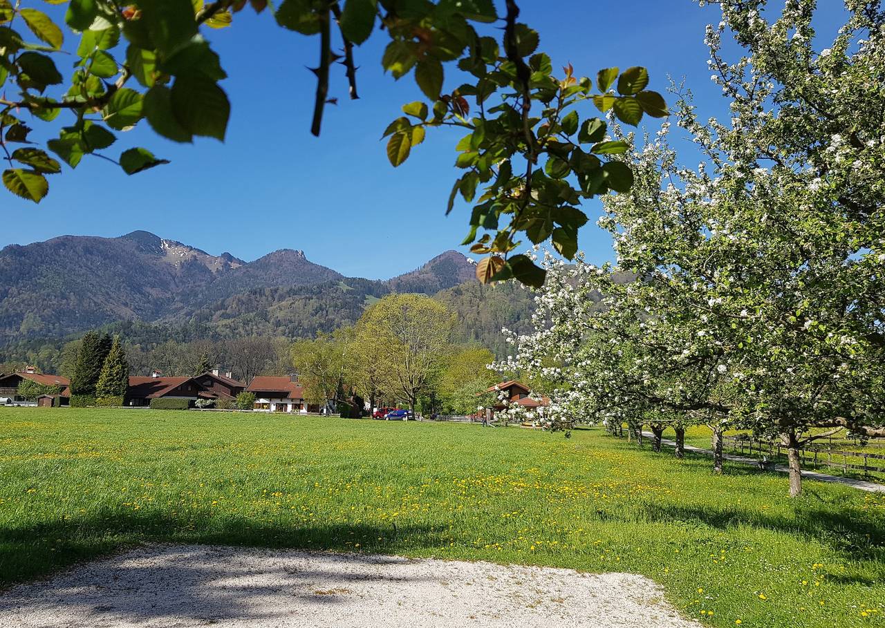 Ganze Ferienwohnung, Ferienwohnung Schreiner-Viehhausen - Ferienwohnung Schreiner-Viehhausen 60 m² bis 2 Personen in Grassau, Chiemsee
