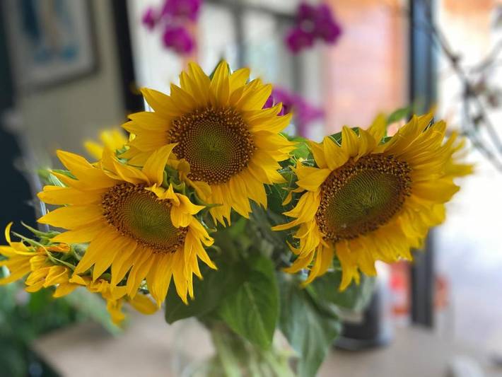 Maison d’hôte pour 2 personnes, avec piscine ainsi que vue et jardin à Robion - 4