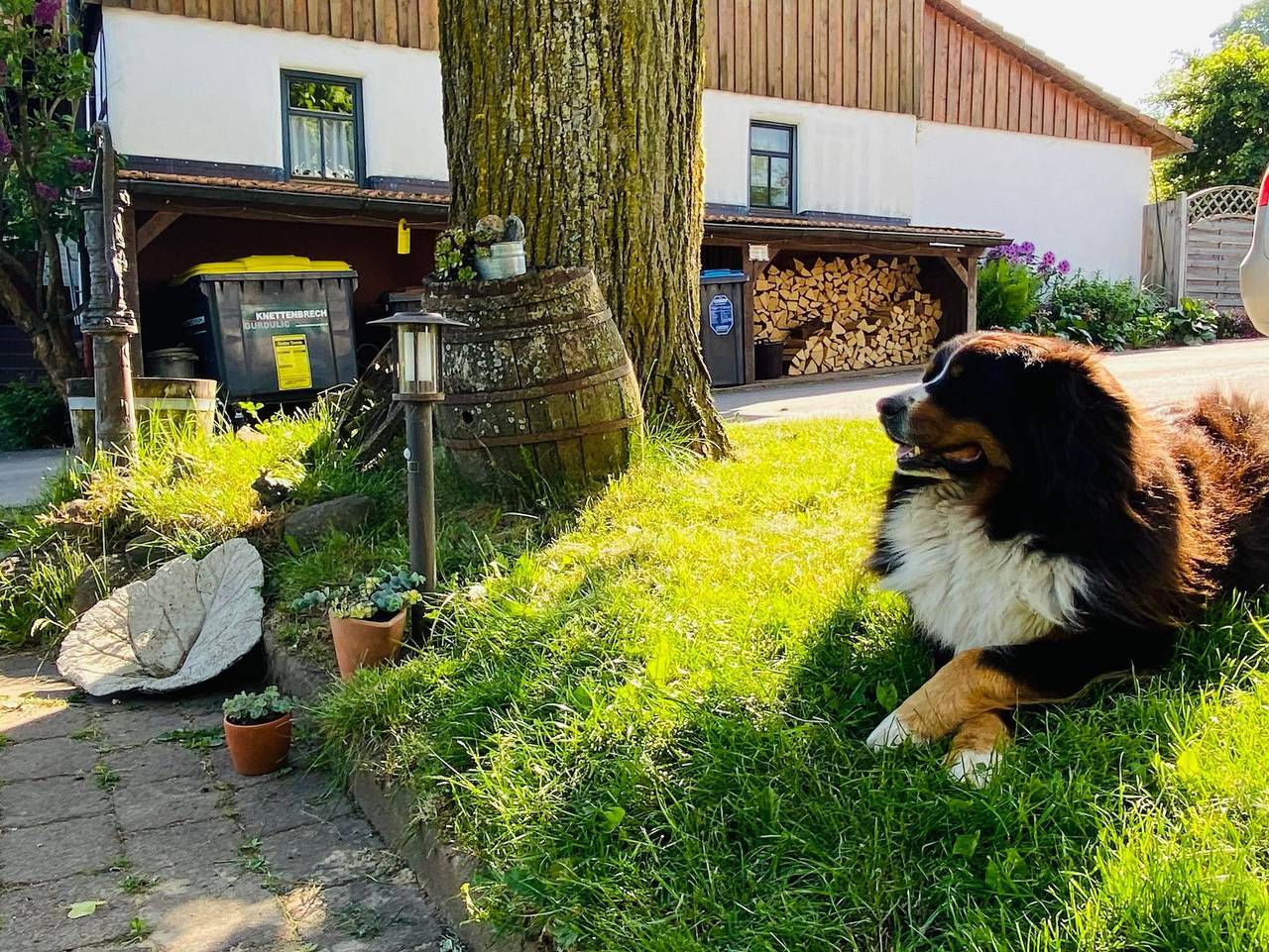 Ganze Ferienwohnung, Ferienhof Heufelder Hof - Ferienwohnung 4 in Ehrenberg, Rhön-Hessen