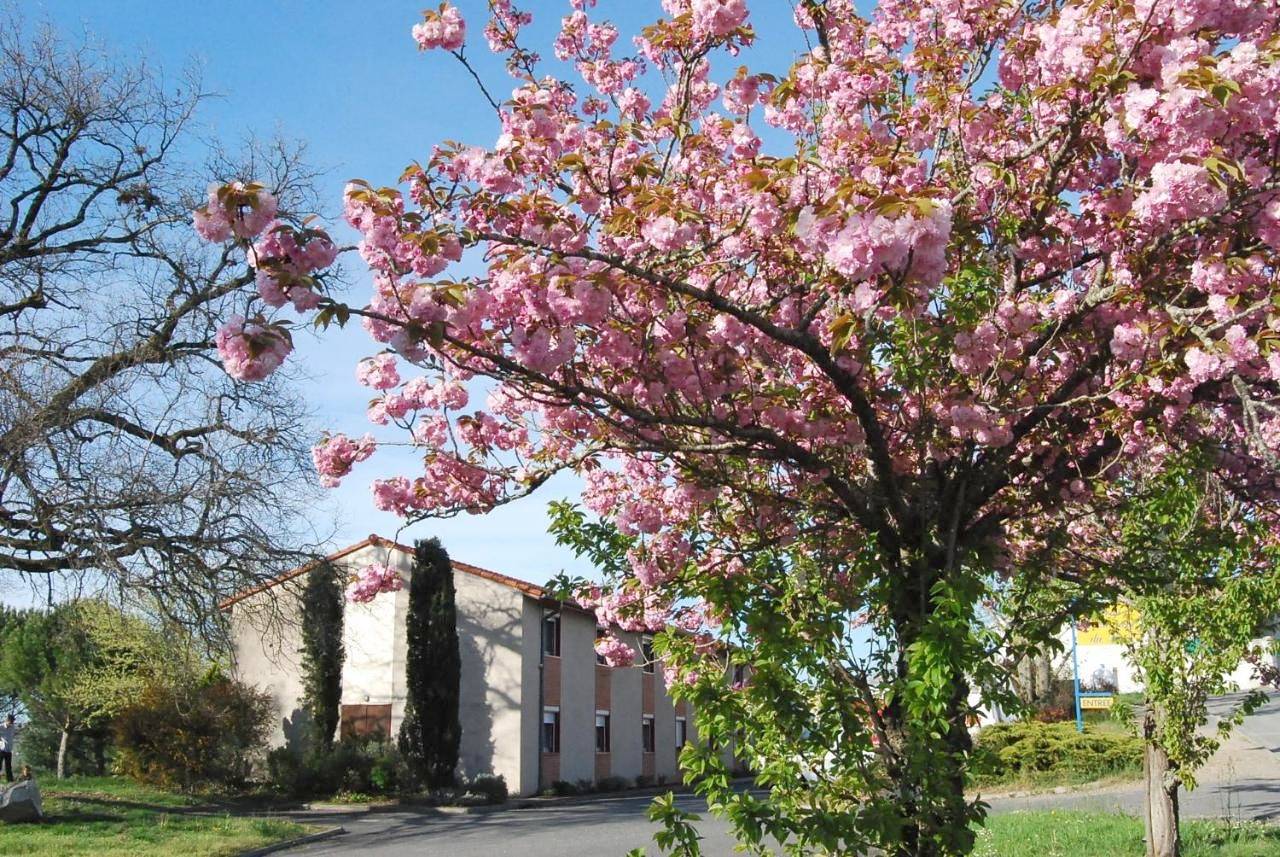 Double Room in Graulhet, Région de Castres