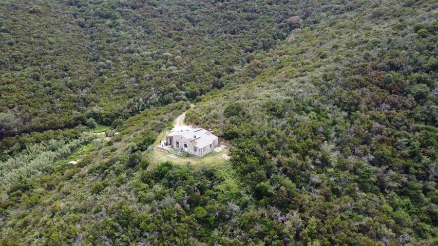 Chambre d’hôte pour 2 personnes, avec terrasse à Portoferraio - 2