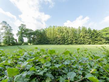 Ferienwohnung für 2 Personen in Südliche Nordseeküste, Bild 2