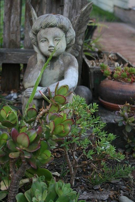 Capitola Nook entlang des Baches. in Capitola, Santa Cruz County