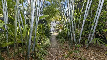 Holiday Home for 8 People in Noosa Heads, Noosa Shire, Photo 3