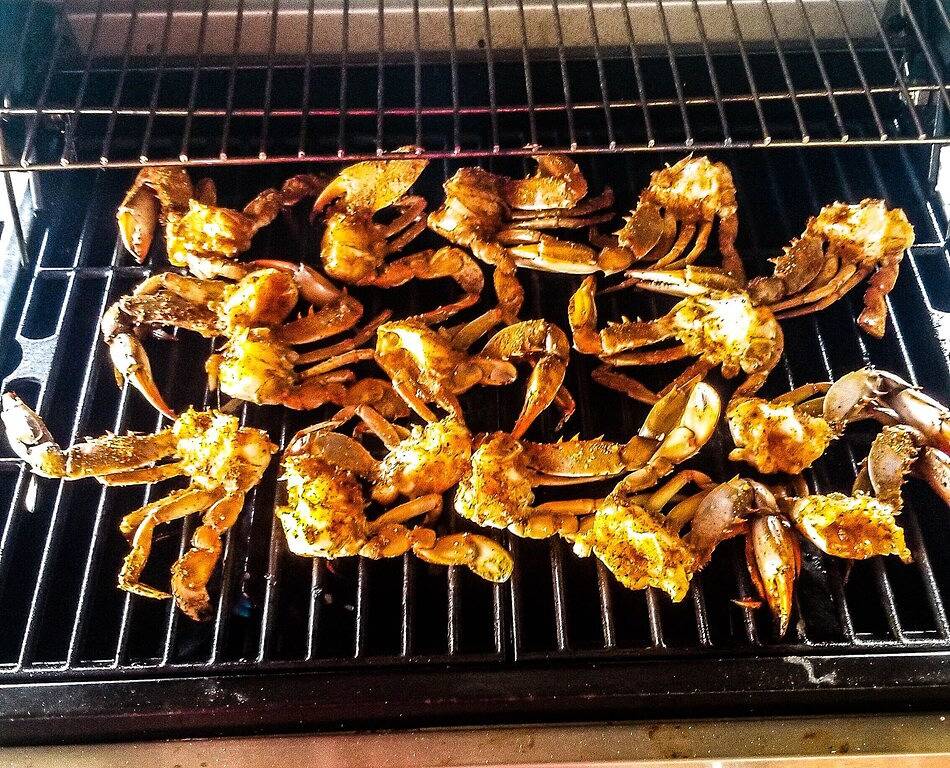 Fischen - glücklicher Jack (Port Sulphur) Louisiana in Plaquemines Parish