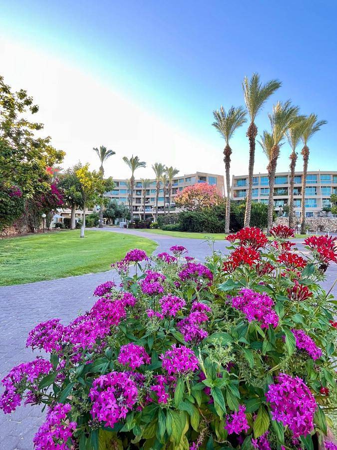 Appart’hôtel pour 4 personnes, avec terrasse et piscine ainsi que vue et sauna