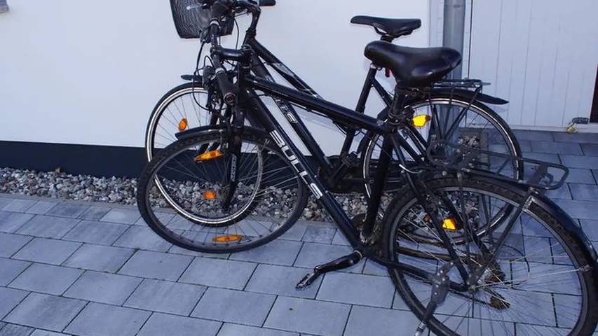 Ferienwohnung für 6 Personen, mit Sauna und Garten in Altenpleen - 4