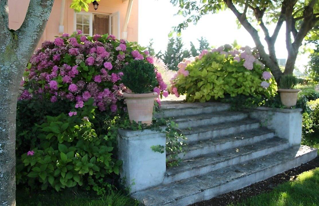 Maison Salvaterra : chambres d'hôtes, gîte & table terroir - Dolce Vita in Sauveterre-de-Béarn, Béarn