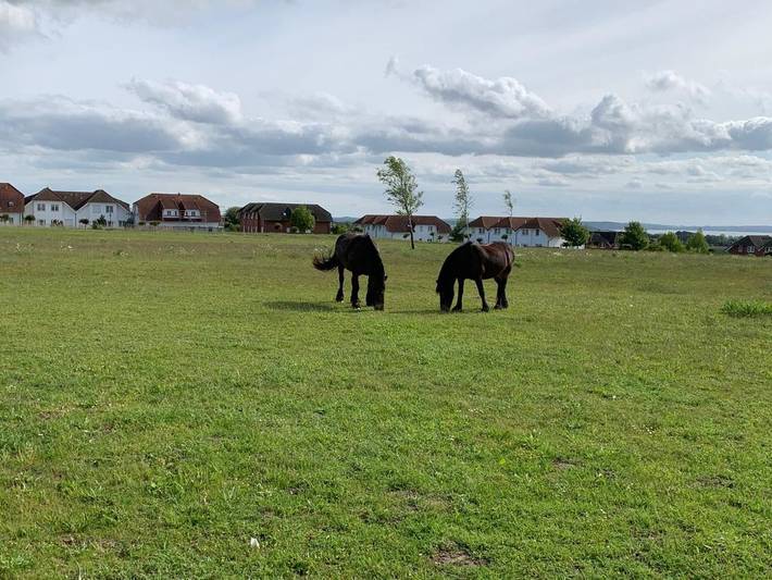 Ferienwohnung für 4 Personen, mit Whirlpool und Terrasse sowie Garten und Pool in Sagard