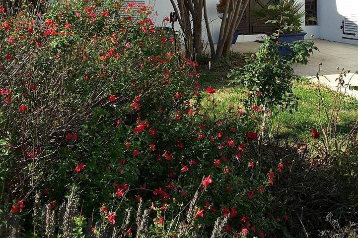 Ferienhaus für 7 Personen, mit Terrasse und Garten in La Rochelle
