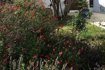 Ferienhaus für 7 Personen, mit Terrasse und Garten in La Rochelle