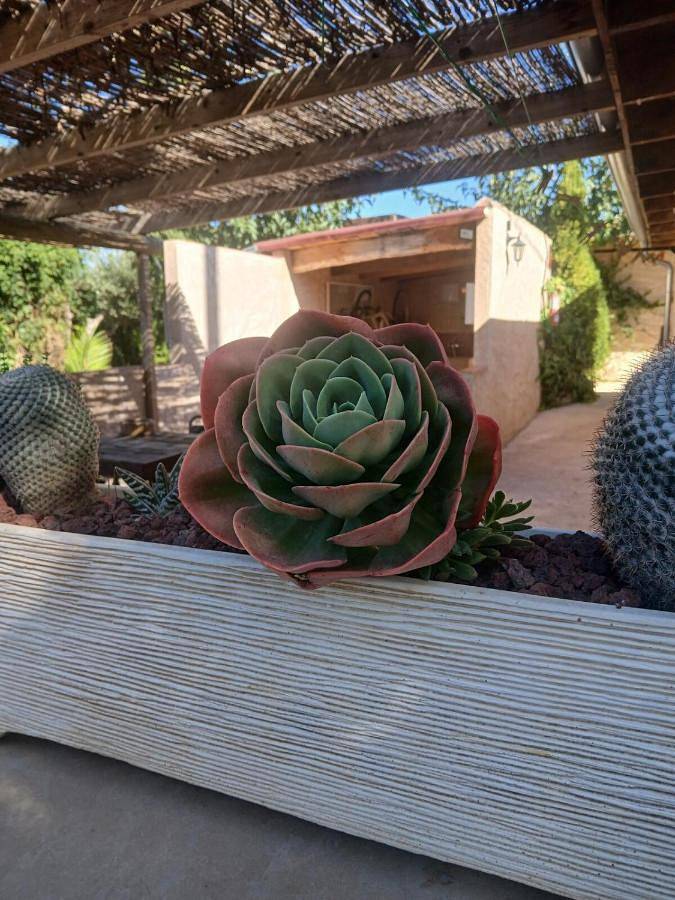 Location de vacances pour 2 personnes, avec terrasse ainsi que vue et jardin à Vilafamés - 3