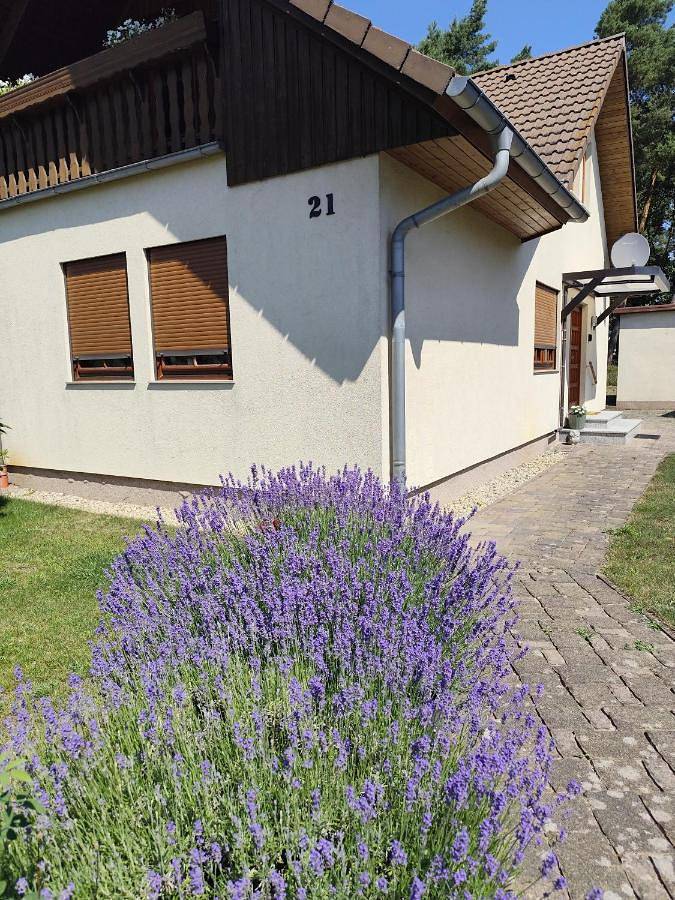 Ferienhaus für 6 Personen, mit Balkon und Terrasse sowie Garten und Ausblick in Kolkwitz - 2