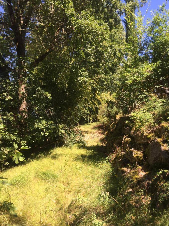 Gîte pour 4 personnes, avec vue ainsi que piscine et jardin à Le Buisson-de-Cadouin - 4