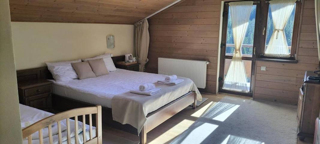 Maison d’hôte pour 2 personnes, avec jacuzzi ainsi que sauna et jardin à Alba (Romania) - 4