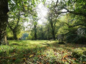 Casa Vacanza per 7 Persone in Roccastrada, Maremma, Foto 3
