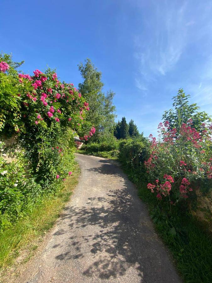 Location de vacances pour 7 personnes, avec jardin à Chisseaux - 3