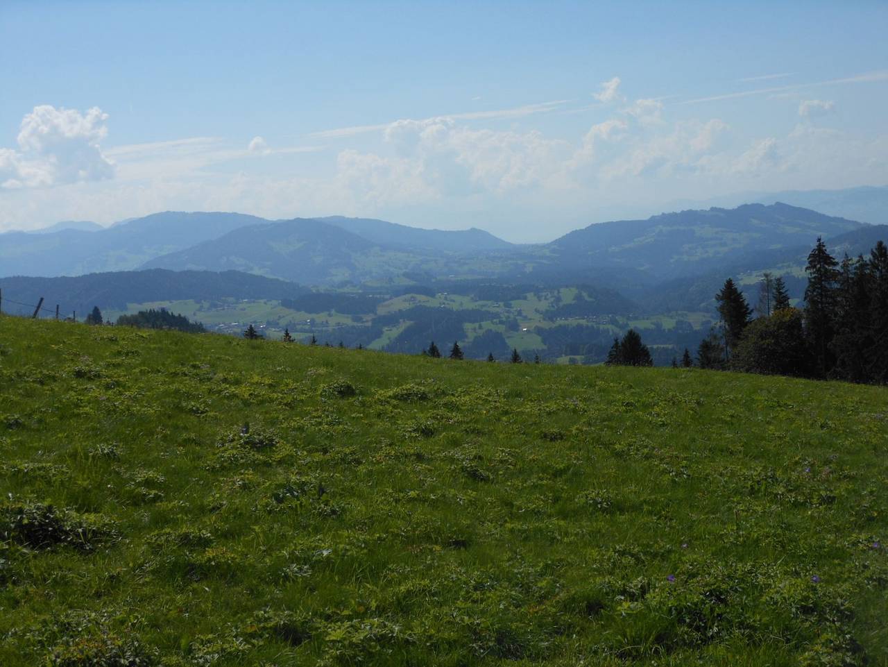 Ganze Ferienwohnung, Allgäustüble - Allgäustüble in Steibis, Oberstaufen