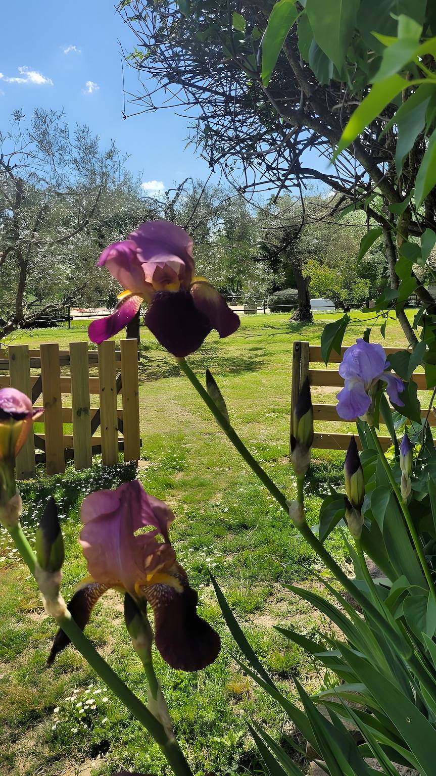 Les fées du gard - gîte lutin in Rousson, Parc national des Cévennes
