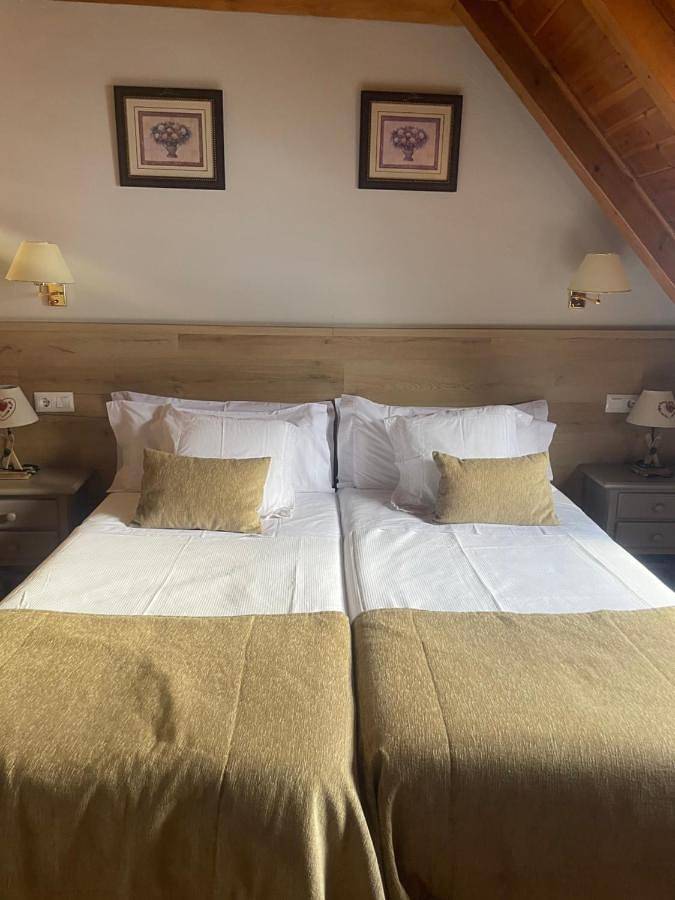 Standard Single Room in Naut Aran, Baqueira Beret
