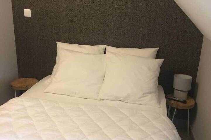 Gîte pour 4 personnes à Courbouzon - 2