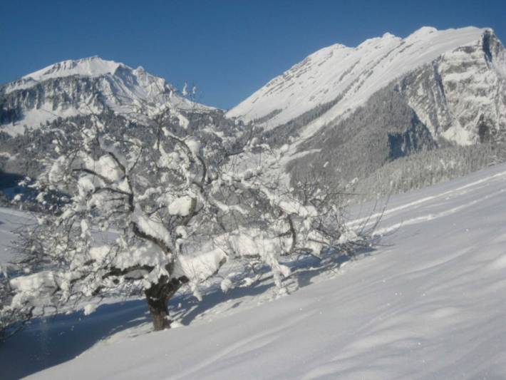 Ferienwohnung für 3 Personen, mit Garten und Terrasse, kinderfreundlich in Schoppernau - 2