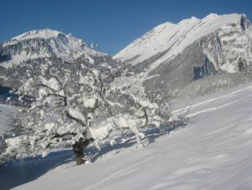 Ferienwohnung für 3 Personen in Schoppernau, Allgäuer Alpen (Österreich), Bild 1