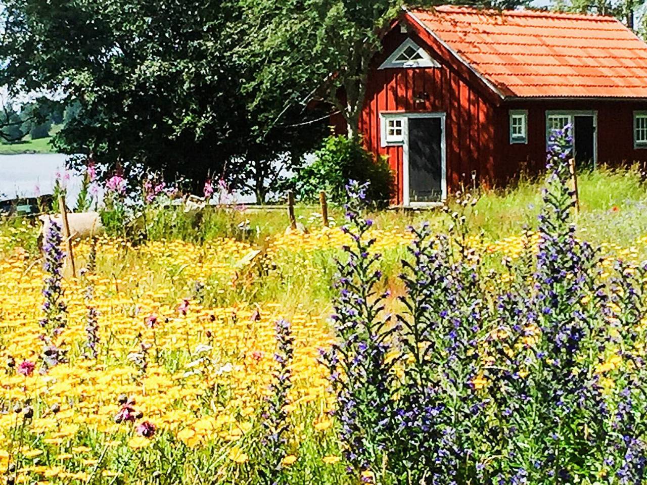 2 Personen Ferienhaus in Bellö-By Traum in Bellö, Jönköpings län