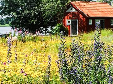 Ferienhaus für 2 Personen in Bellö, Südschweden, Bild 3