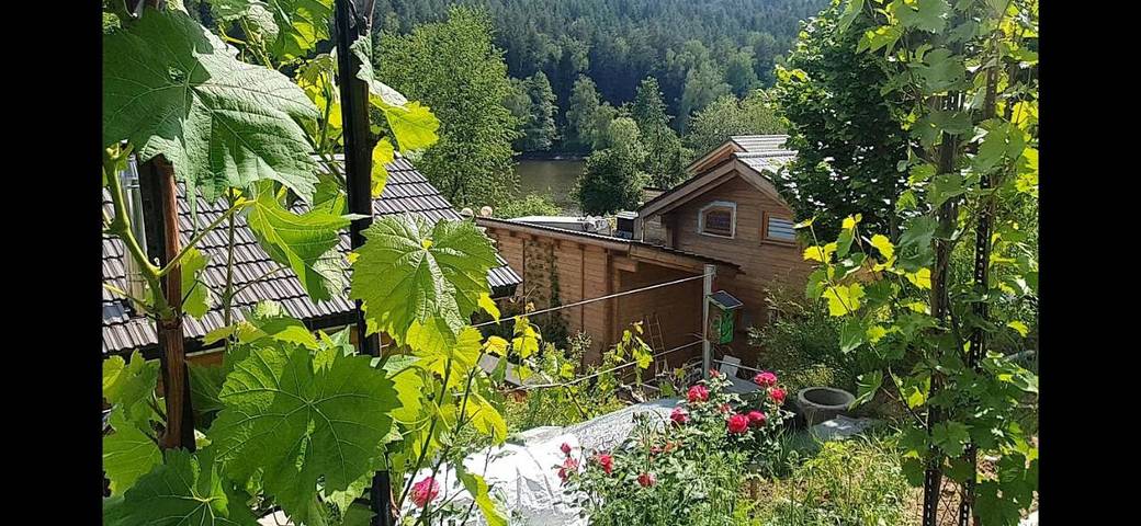 Ferienhaus für 10 Personen, mit Ausblick und Sauna sowie Garten und Seeblick in Naturpark Oberpfälzer Wald - 3