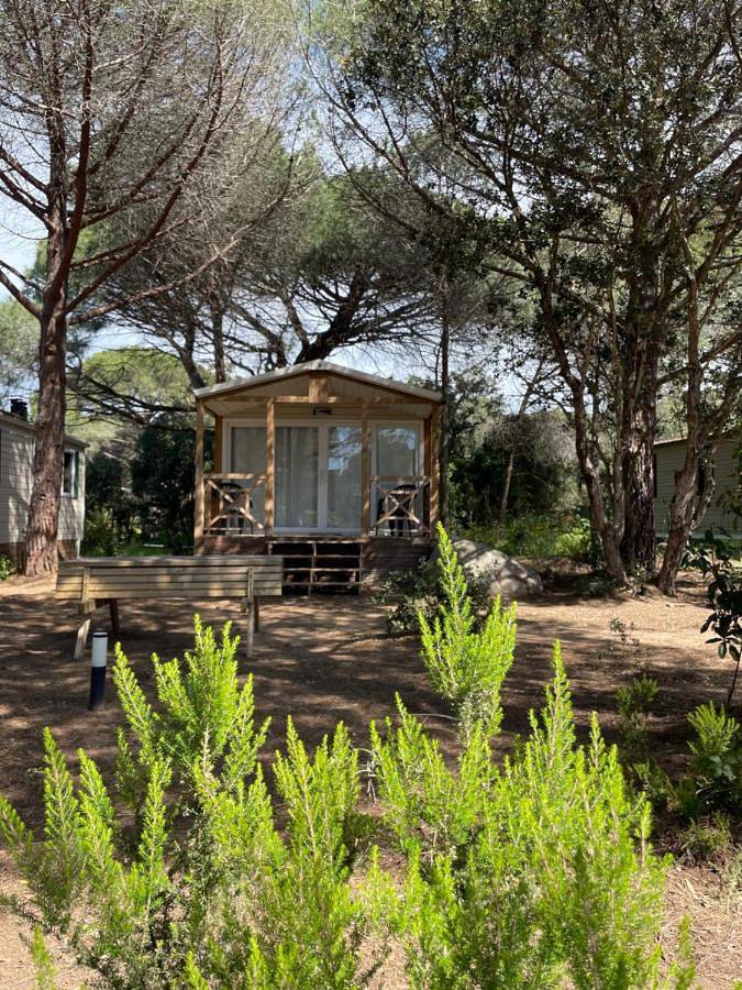 Palombaggia location i pini Porto Vecchio in Palombaggia, Porto-Vecchio