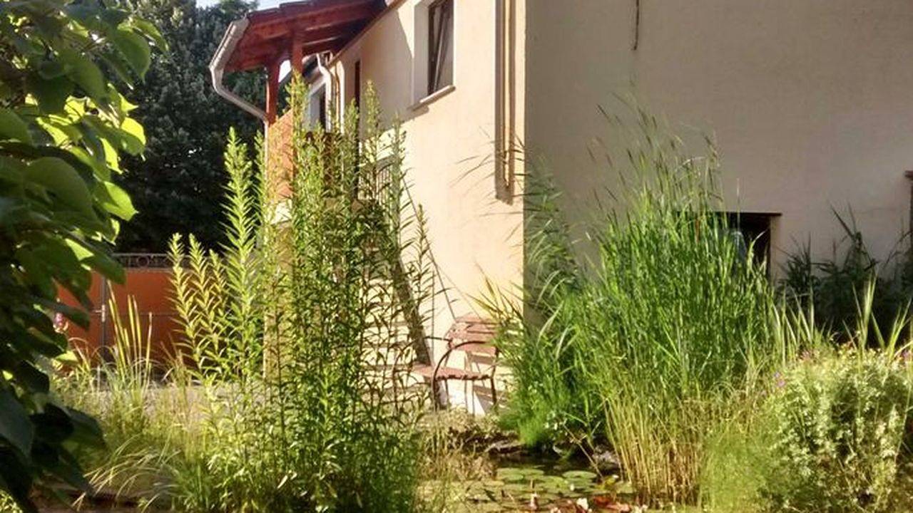 Einzelzimmer für 2 Personen (12 m²) in Magdeburg in Magdebourg, Elbe-Börde-Heide