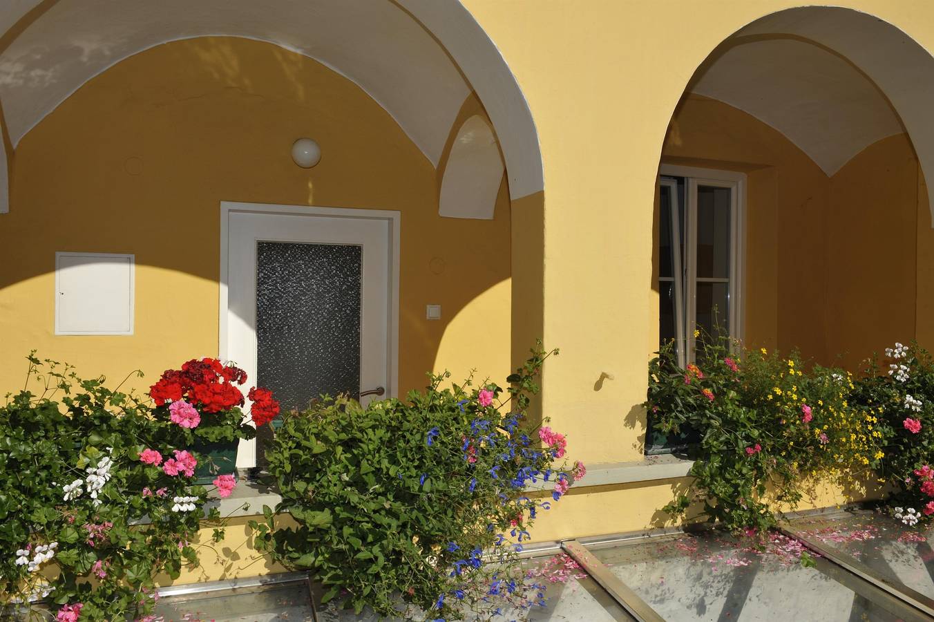 Apartment 26 m² / 1 Schlafraum/Bad, Wc, foto 10