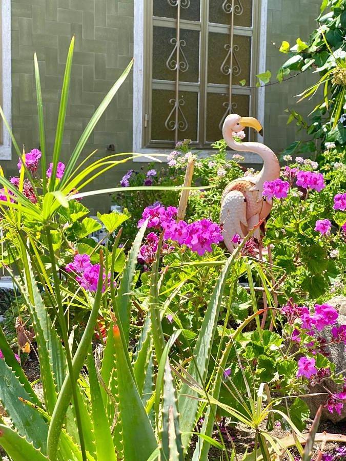 Maison d’hôte pour 3 personnes, avec jardin dans Santa Teresa Gallura - 2