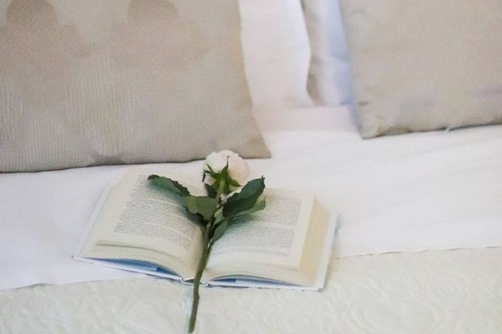 Chambre d’hôte pour 3 personnes, avec jardin à Bari - 2