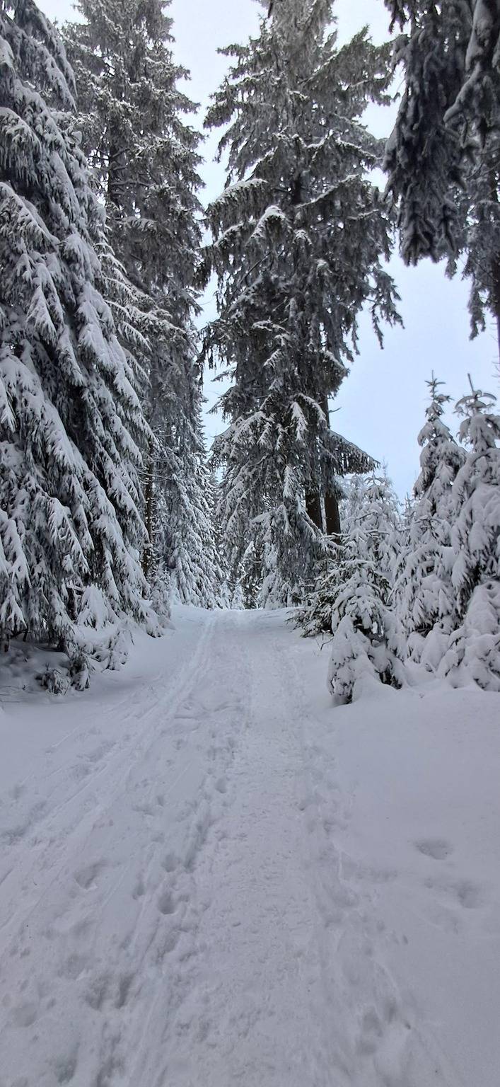 Ferienhaus für 3 Personen, mit Balkon/Terrasse und Balkon in Landkreis Straubing-Bogen - 3