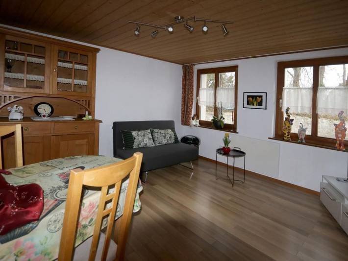 Ganze Wohnung, Panorama Blick in Egnach, Bodensee (Schweiz)